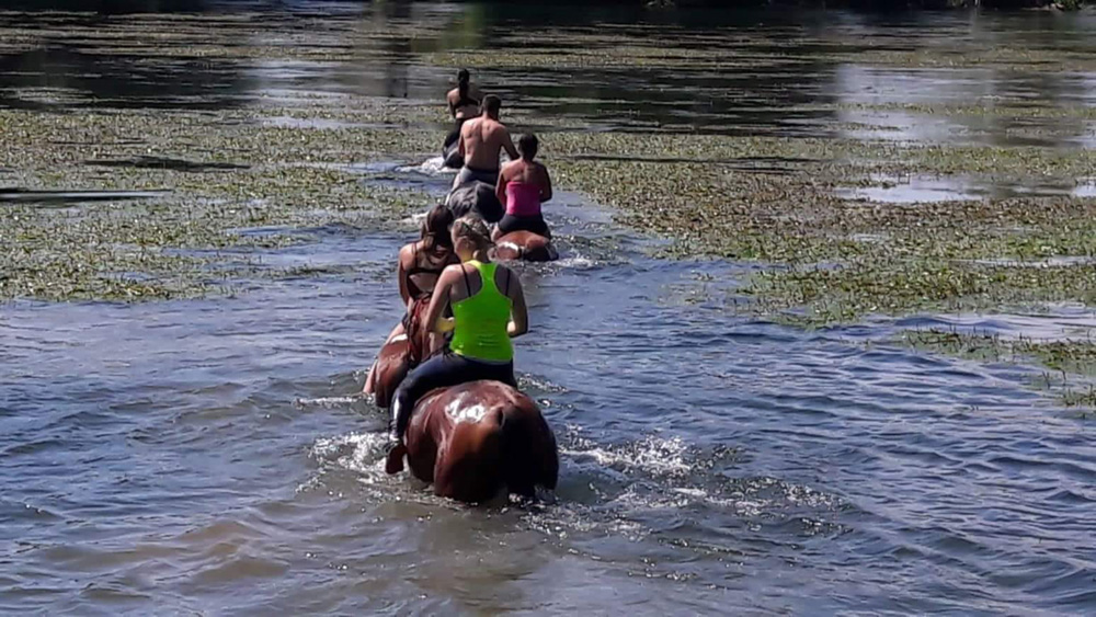 www.kupa-zoneadventure.com
