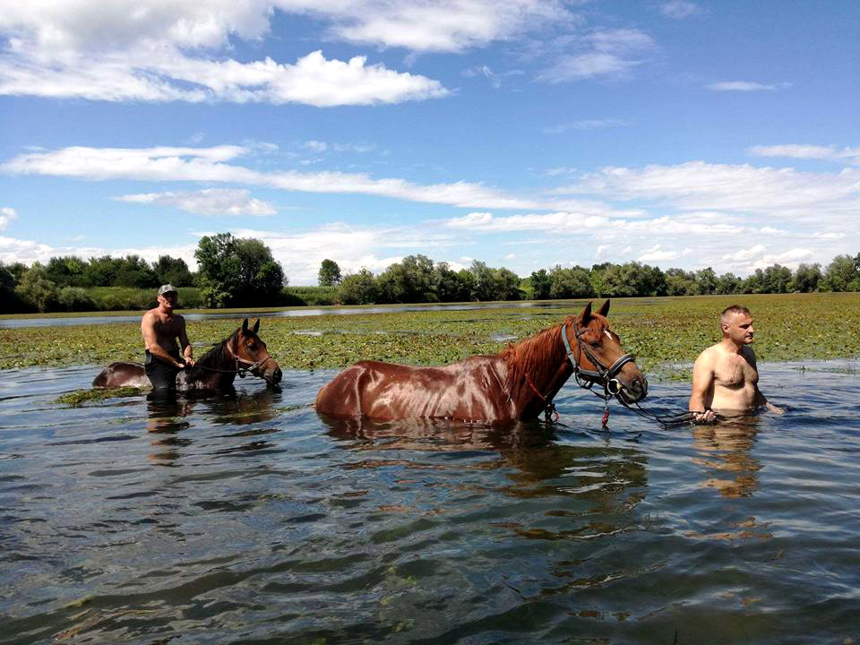 www.kupa-zoneadventure.com