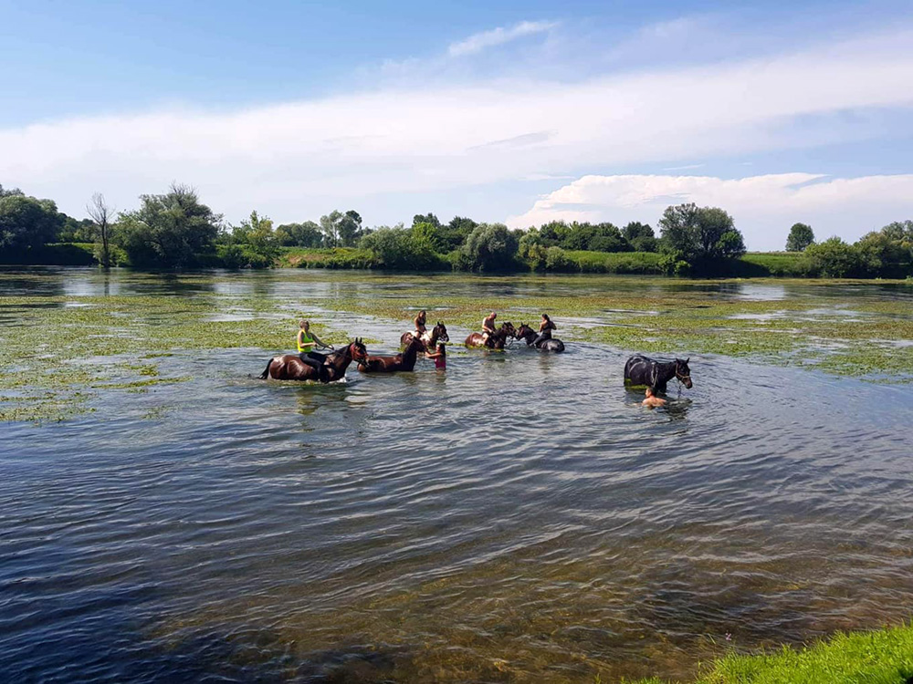 www.kupa-zoneadventure.com